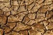 Dry Land
