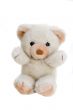 Teddy