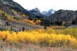 Autumn Foliage