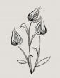 abstract tulip design vector 