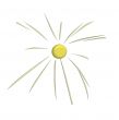 3D sun
