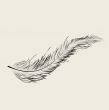 Flaoting feather