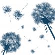 vector dandelion 