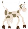 Funny cow