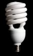 compact fluorescent light bulb