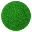 Ball made of green grass isolated