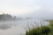 Morning river mist