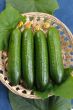 Cucumbers