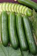 Cucumbers