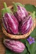 Eggplants.