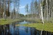Wood lake