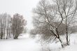 Drawing of winter