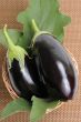 Eggplants.