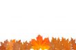 Ornament from autumn leaves