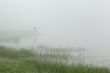 Morning on the River