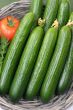 Cucumbers