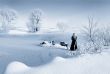 Winter in Drozdy, B/W