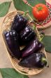 Black sweet pepper