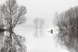 On cold water