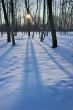 Winter sunset