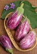 Eggplants.