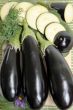 Eggplants.