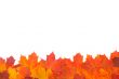 Ornament from autumn leaves