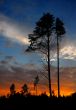 sunset with a cloud