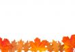 Ornament from autumn leaves