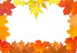 Ornament from autumn leaves