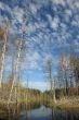 Wood lake