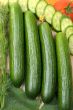 Cucumbers