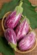 Eggplants.