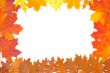 Ornament from autumn leaves