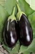Eggplants.