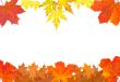 Ornament from autumn leaves