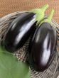 Eggplants.