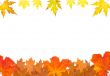 Ornament from autumn leaves