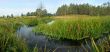 Panorama with a stream.