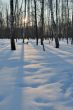 Winter sunset