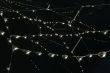 Drops on the web