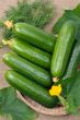 Cucumbers