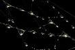 Drops on the web