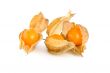 Physalis isolated
