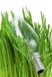 Lamp in grass isolated