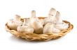 Basket with mushrooms