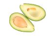 Avocado isolated