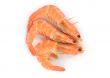 Prepared shrimp isolated