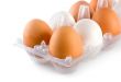 Tray eggs isolated