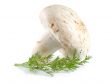 Mushroom and dill